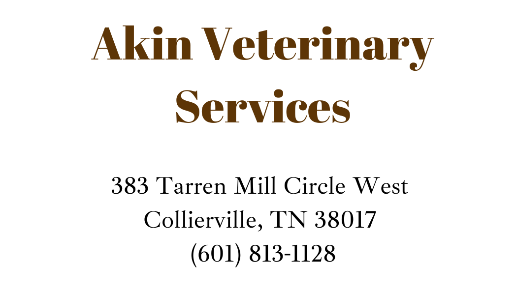 Akin Veterinary Services